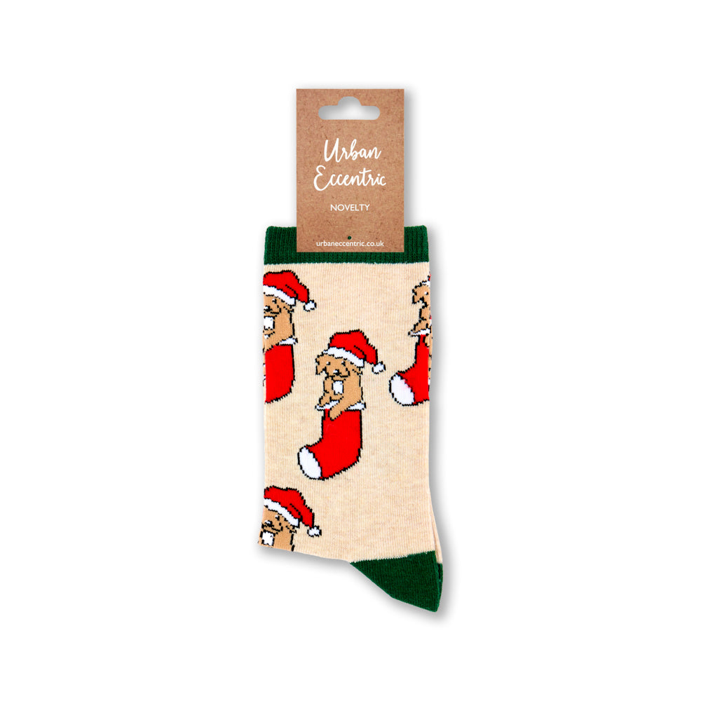 Ladies Puppy In Stocking Socks
