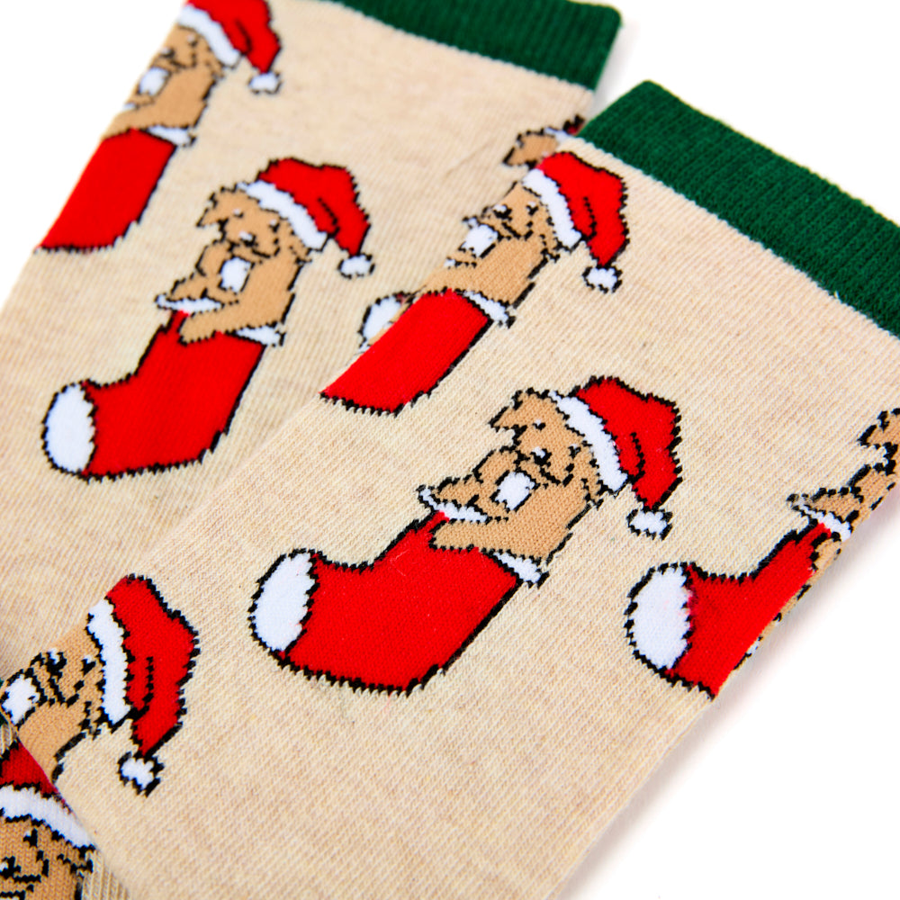 Ladies Puppy In Stocking Socks
