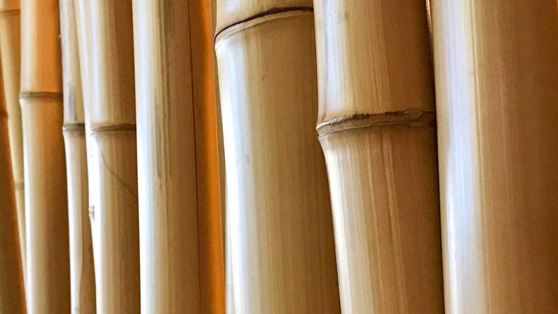 Bamboo benefits