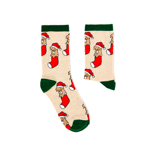 Ladies Puppy In Stocking Socks