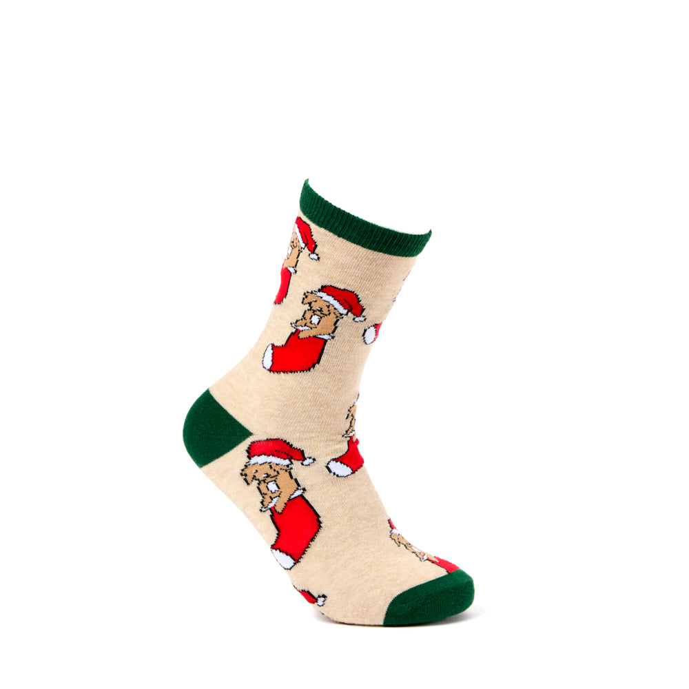 Ladies Puppy In Stocking Socks